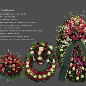 Флористика